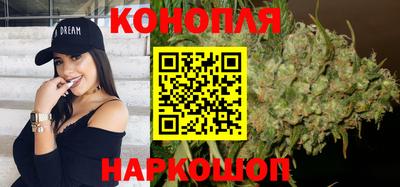 шишки Канаш